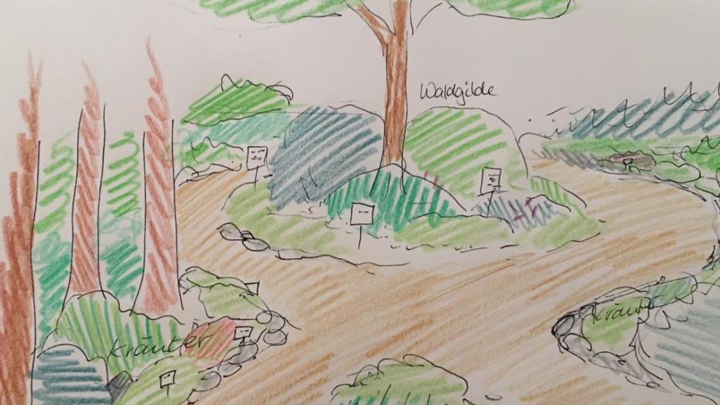 Ein Waldgarten für den Leuphana Campus – Gemeinsam Lernen, Wachsen und Naschen