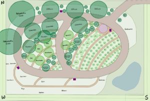 Pflanzplanung, Hof an den Teichen , Waldgarten, Concept Map, Pflanzen